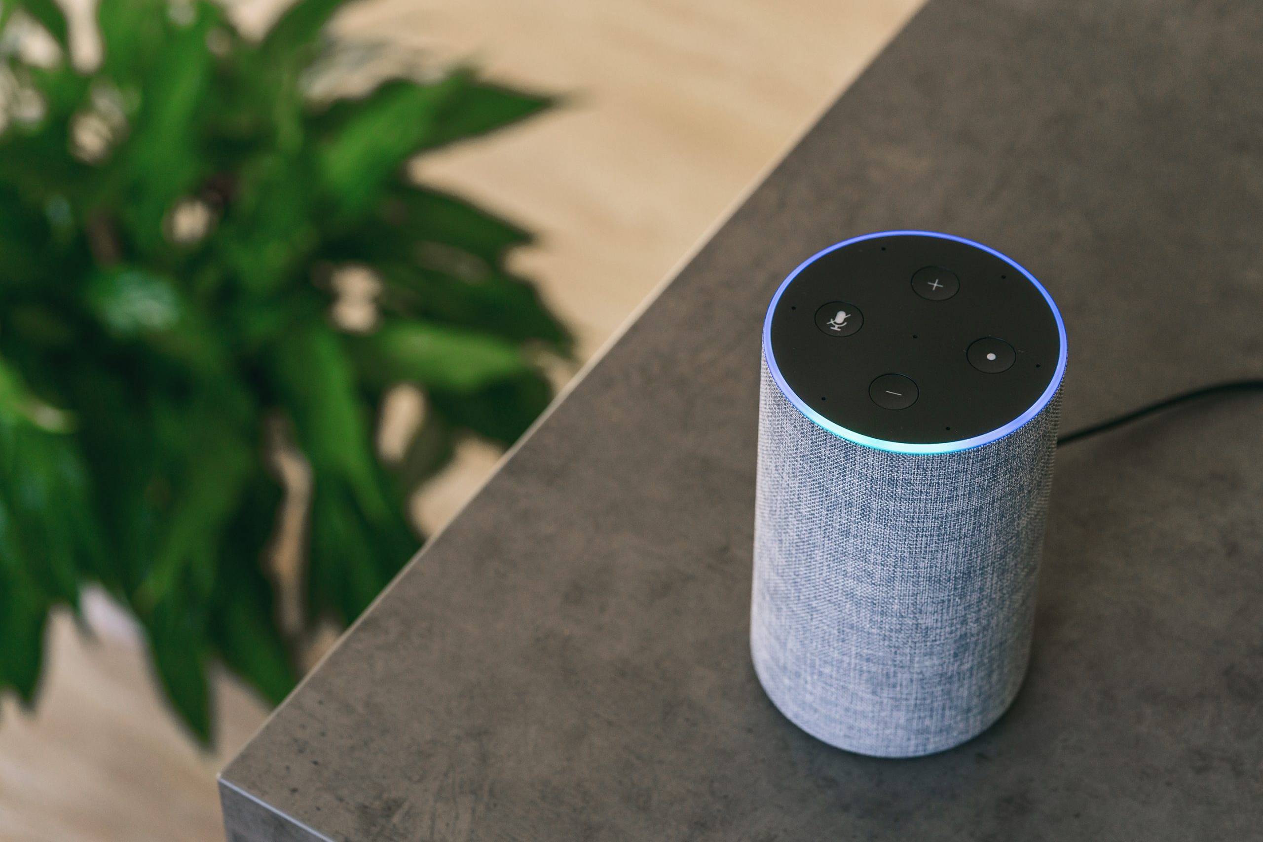 Amazon Echo smart speaker DMG